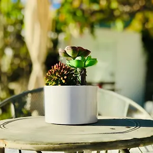 https://bungalow-los-laureles.in-canary-islands.com